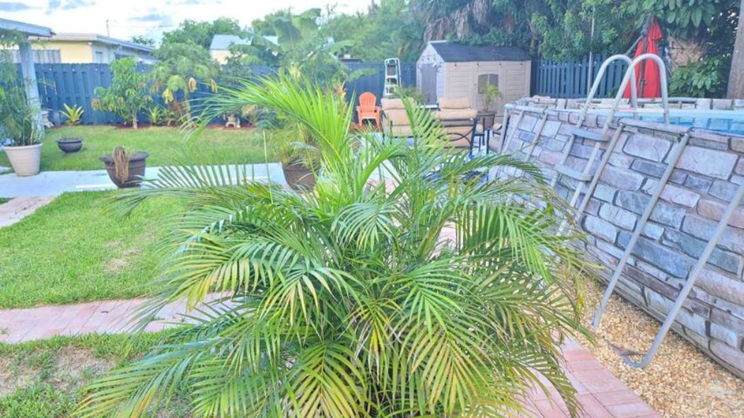 Palm Springs 3-Bedroom 2-Bath 5 Miles To The Beach Lake Worth Beach Εξωτερικό φωτογραφία